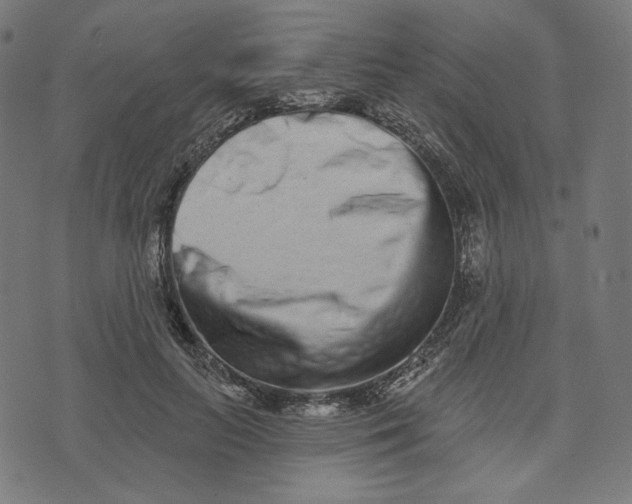X0000073500647200608211716