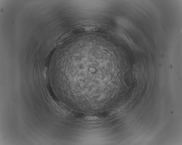 X0000073500650200608211716