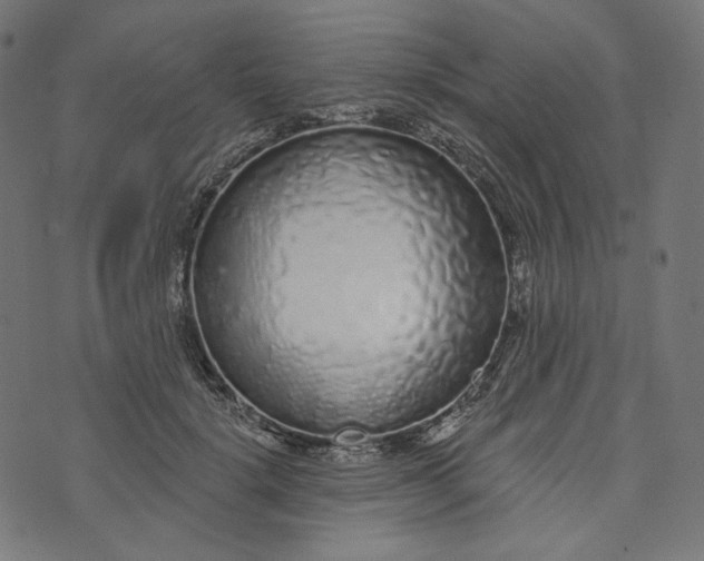 X0000073500652200608211716