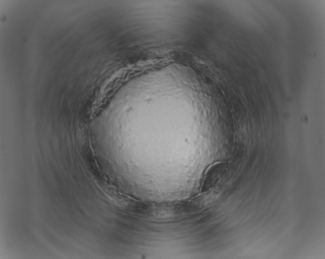 X0000073500658200608211716