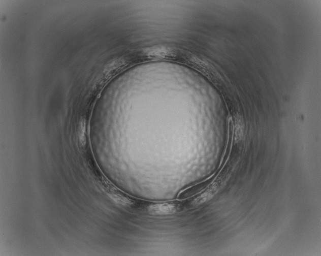 X0000073500660200608211716