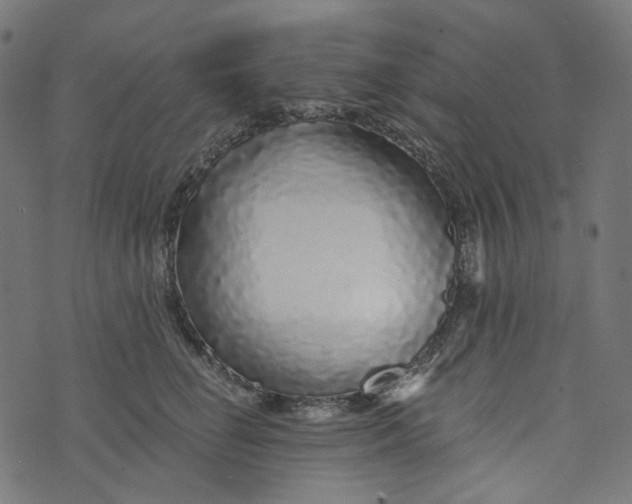 X0000073500662200608211716