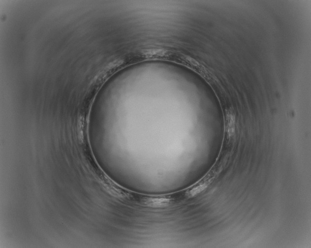 X0000073500664200608211716