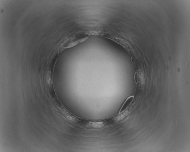 X0000073500665200608211716