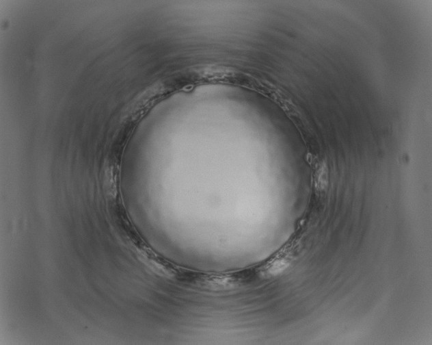 X0000073500666200608211716