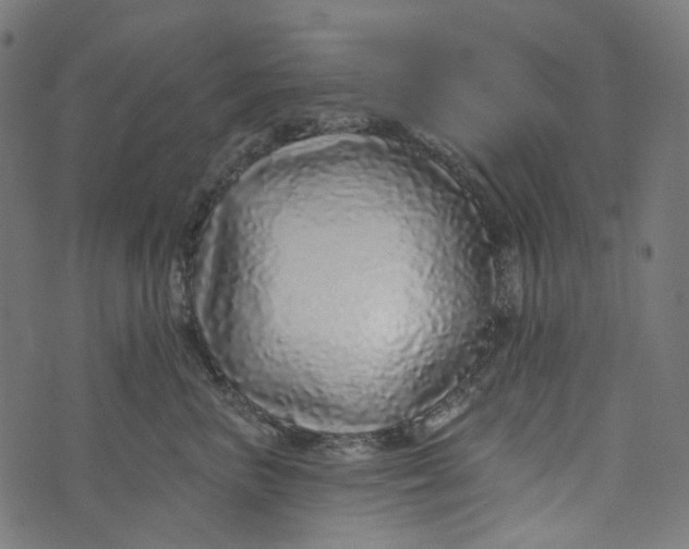 X0000073500667200608211716