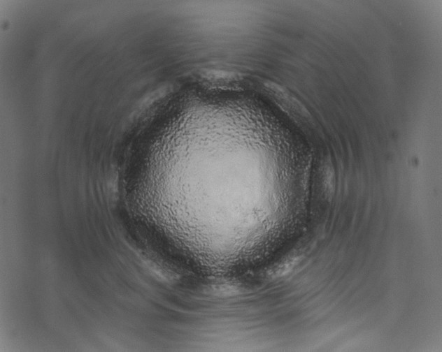 X0000073500668200608211716