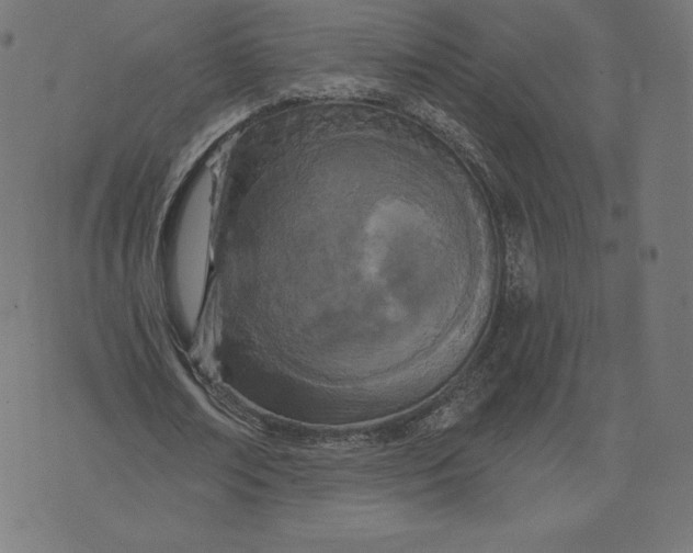 X0000073500674200608211715