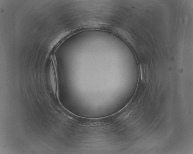 X0000073500675200608211715