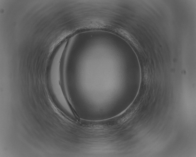 X0000073500677200608211715