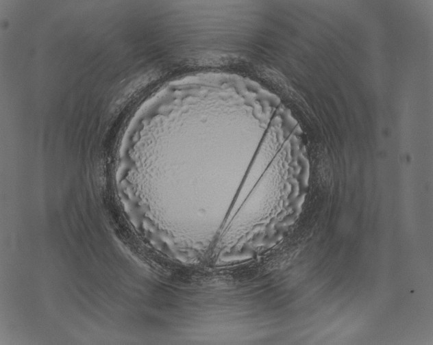 X0000073500683200608211715