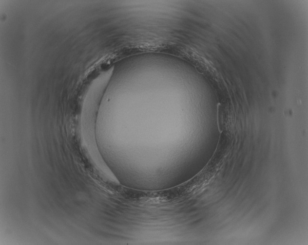 X0000073500689200608211715