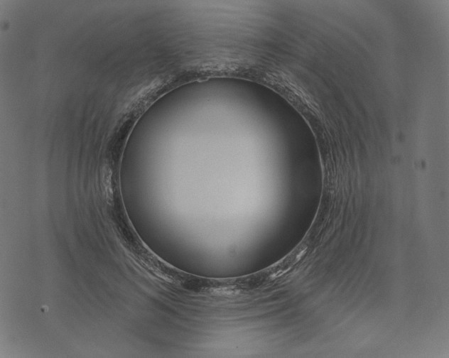 X0000073500692200608211715