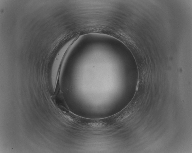 X0000073500693200608211715