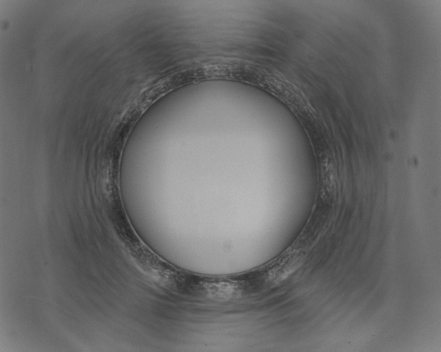 X0000073500698200608211715