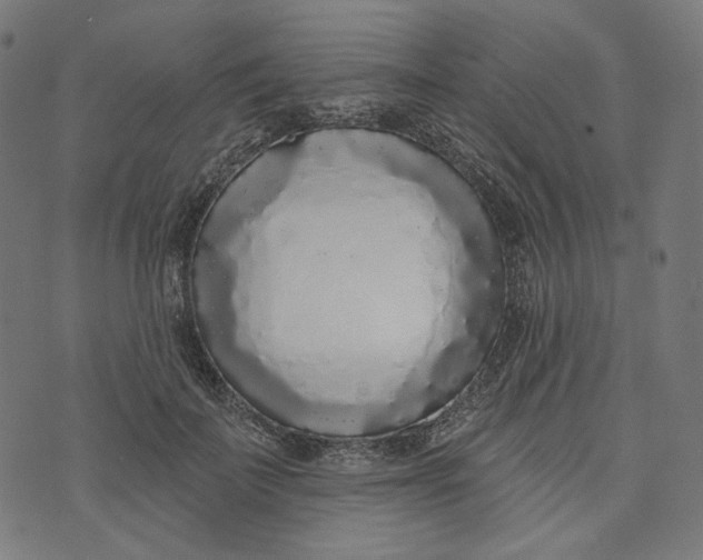 X0000073500699200608211715