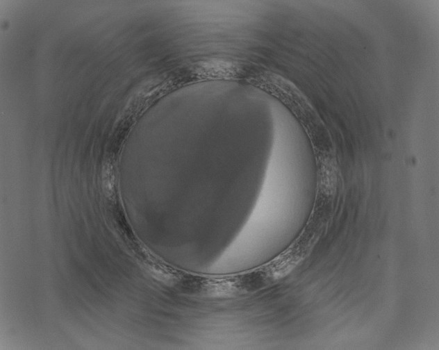 X0000073500701200608211715