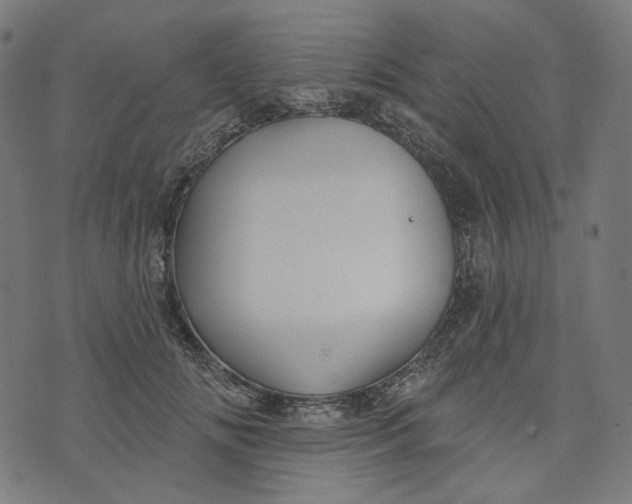 X0000073500702200608211715