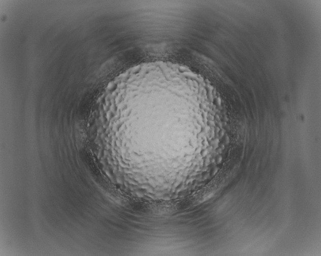 X0000073500707200608211715