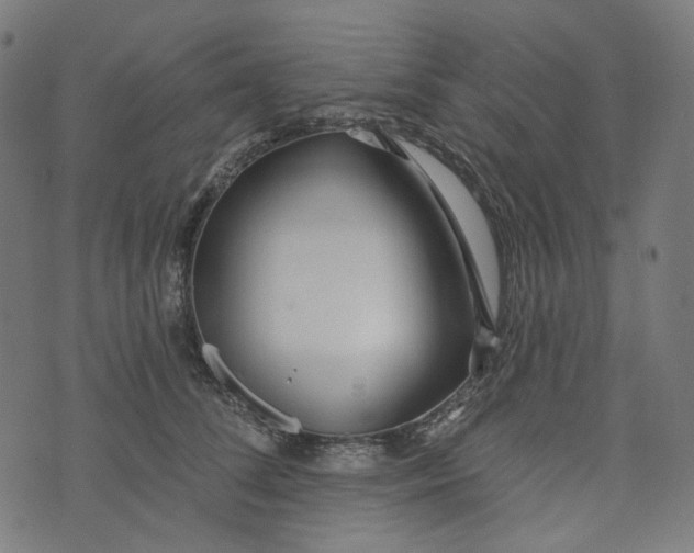 X0000073500708200608211715