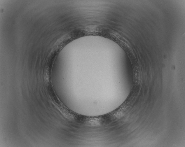 X0000073500710200608211715