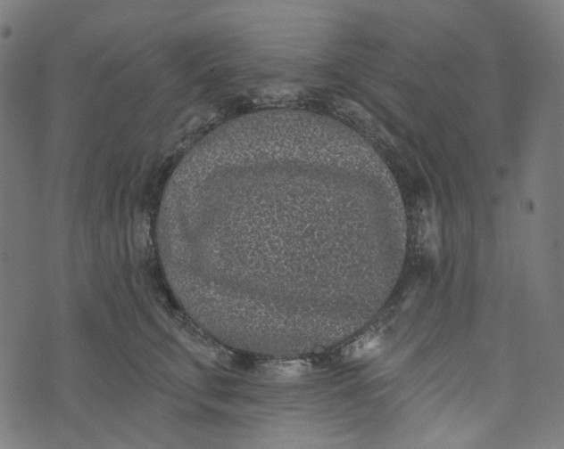 X0000073500711200608211715