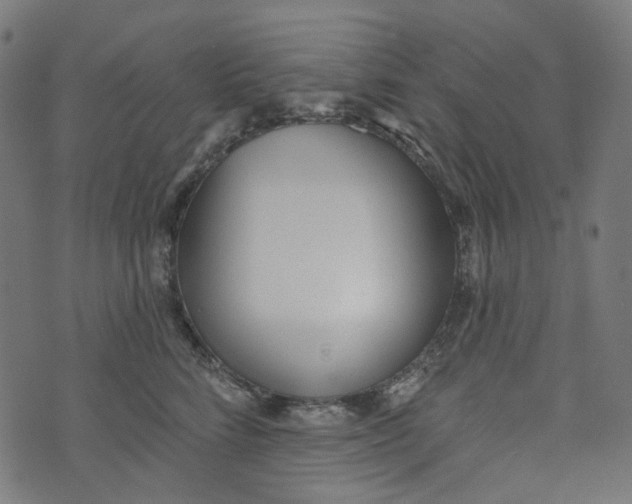X0000073500712200608211715