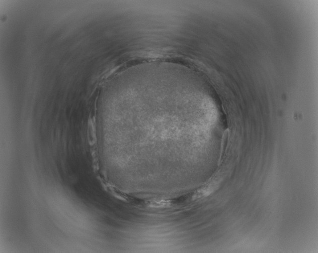 X0000073500720200608211715