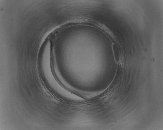 X0000073500724200608211714