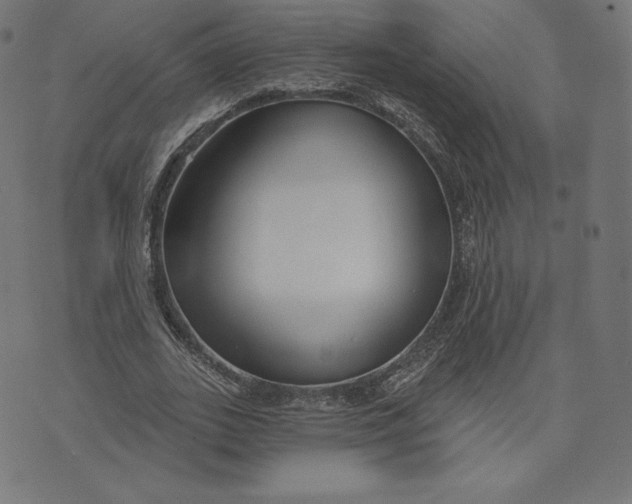X0000073500727200608211714