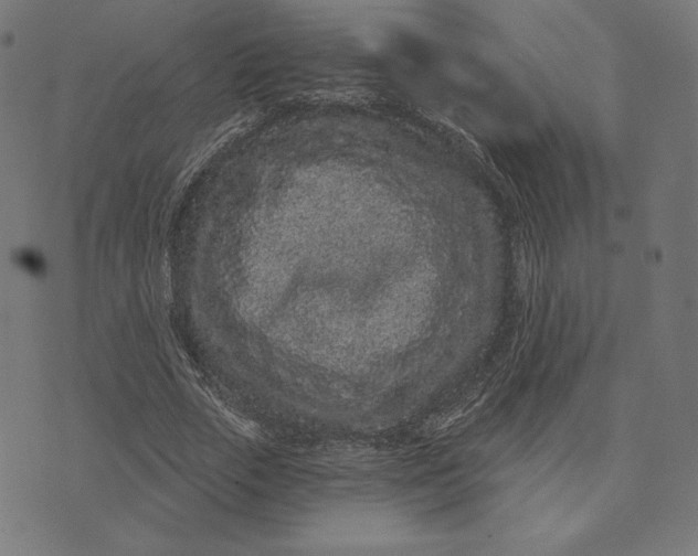 X0000073500729200608211714