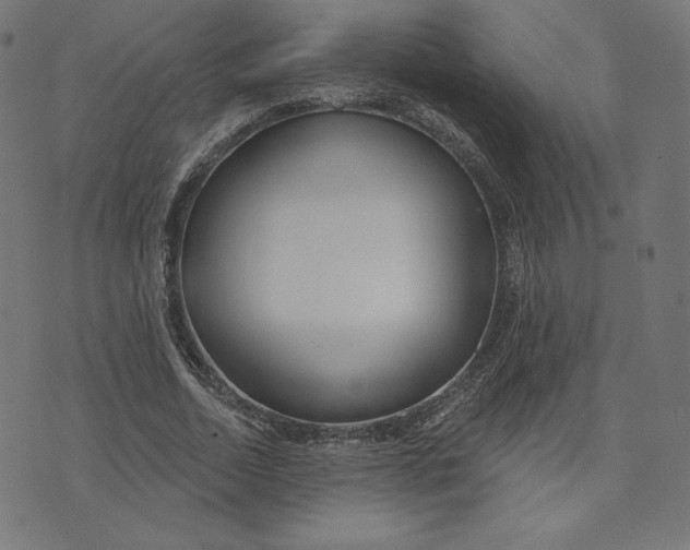 X0000073500730200608211714