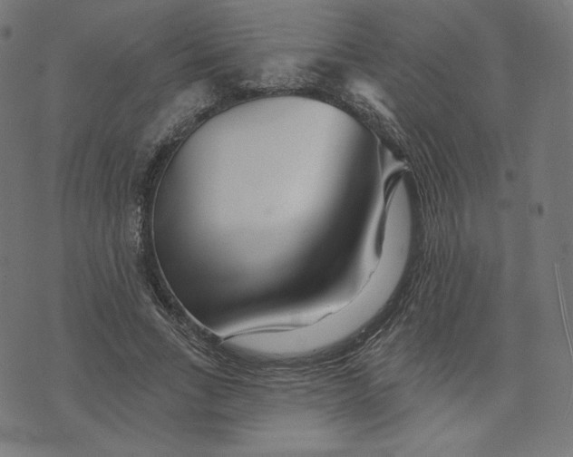 X0000073500735200608211714