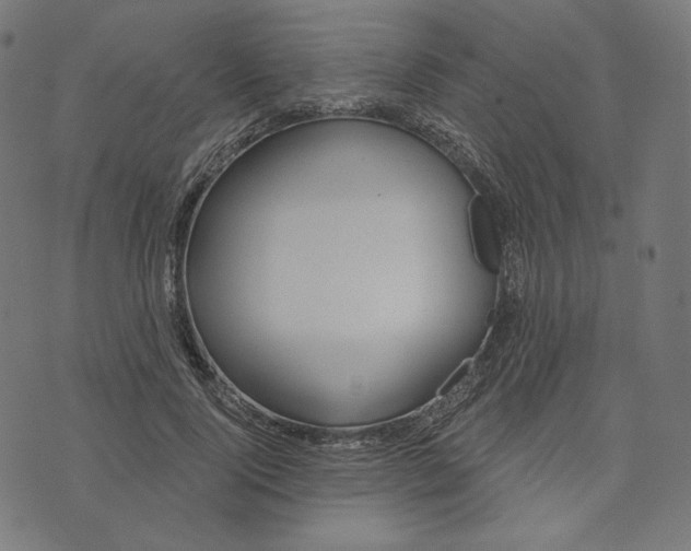 X0000073500740200608211714