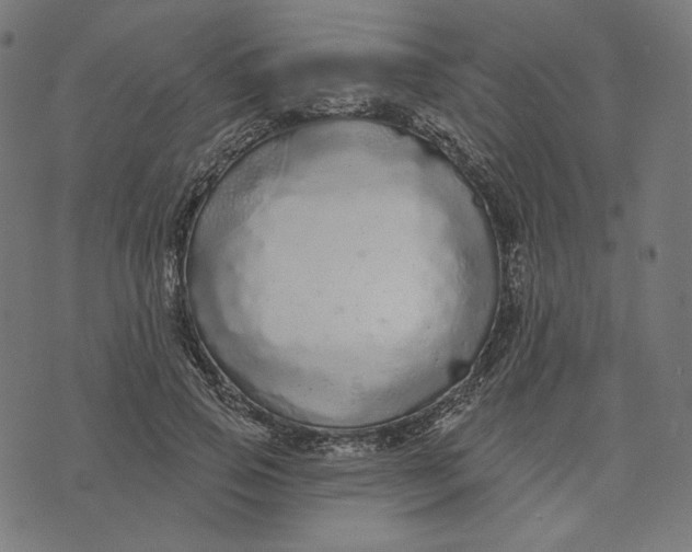 X0000073500741200608211714