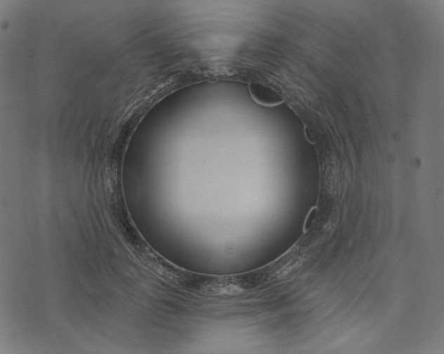 X0000073500747200608211714