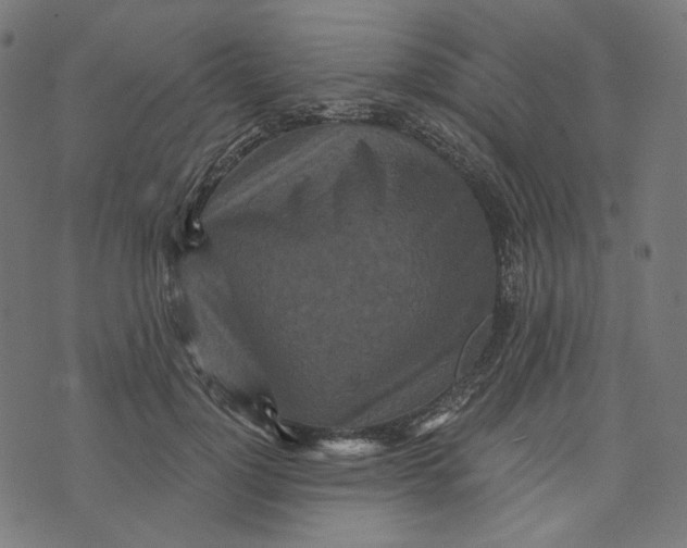 X0000073500748200608211714