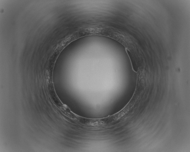 X0000073500752200608211714