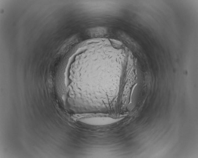 X0000073500761200608211714