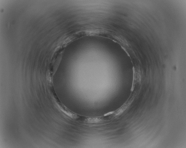 X0000073500766200608211715