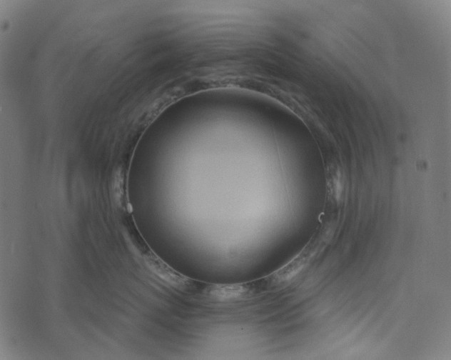 X0000073500767200608211715