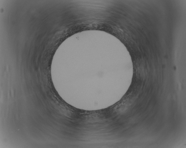 X0000073500769200608211714