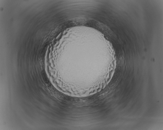 X0000073500772200608211714