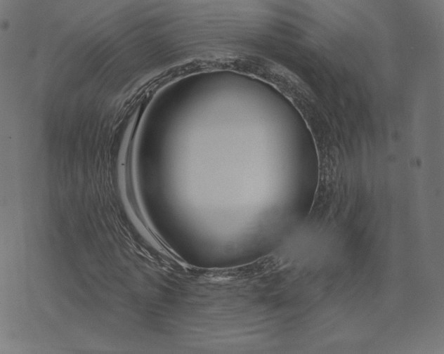 X0000073500773200608211714