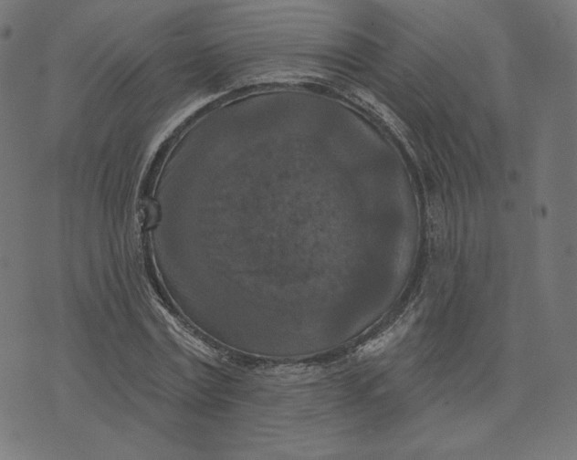 X0000073500779200608211714