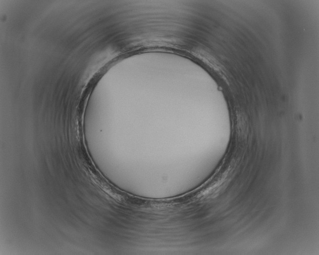 X0000073500782200608211714