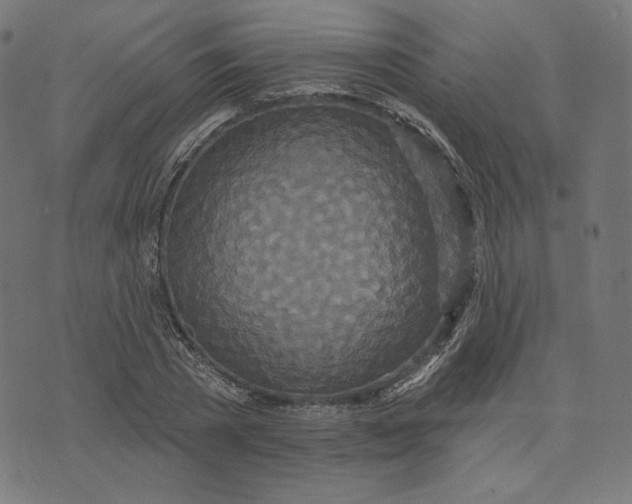 X0000073500785200608211714