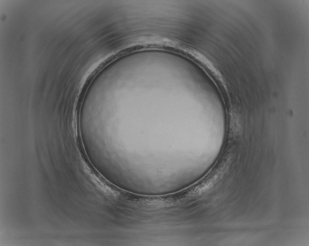 X0000073500791200608211713