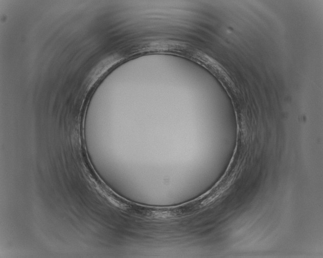 X0000073500794200608211713