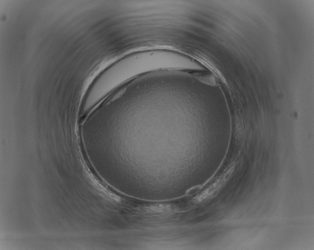 X0000073500797200608211713
